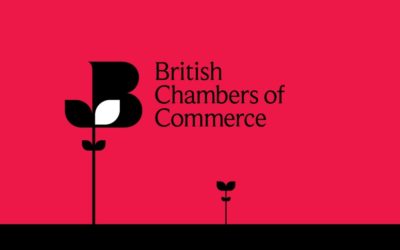 BCC appoints Adam Marshall as Director General