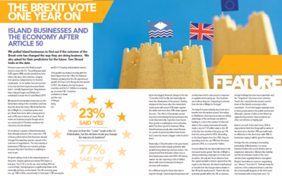 The Brexit vote one year on: Island businesses and the economy after Article 50