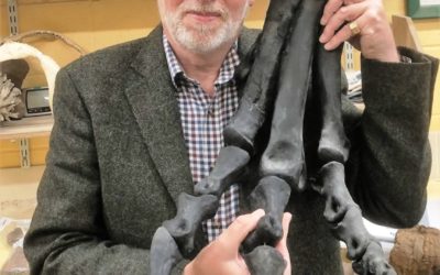 New era for Dinosaur heritage in Sandown